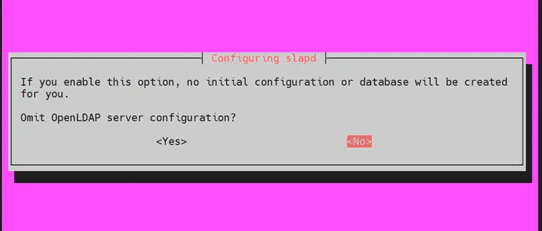 Screenshot of prompt asking to omit the server configuration "Screenshot of prompt asking to omit the server configuration"